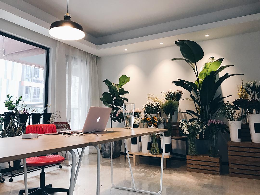 花藝培訓學校裝修設計效果圖