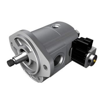 Replacement Denison Hydraulic Vane Pump T7e Series