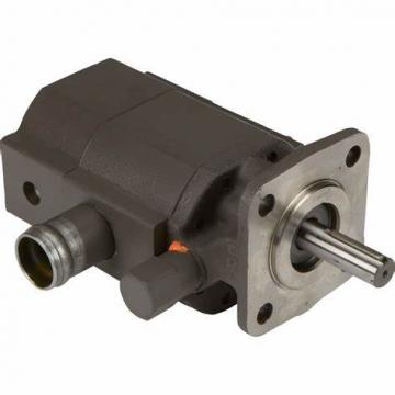 PV2r1-31/28/25/23/19 High Pressure Hydraulic Vane Pump